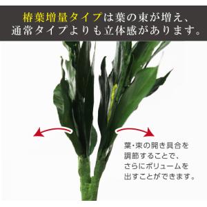 枯れない榊 御榊 M 1対(2本セット)プリザ...の詳細画像5