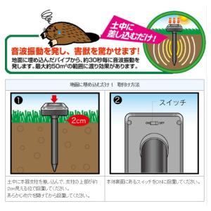 ソーラー充電式モグラ撃退器2本組 薬剤不要!音...の詳細画像2