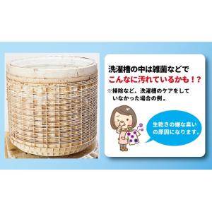 ヨウ素の洗濯槽クリーン ヨウ素 洗濯槽クリーナ...の詳細画像2