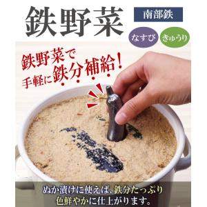 鉄なす 南部鉄玉 南部鉄器 鉄野菜 なす きゅ...の詳細画像1