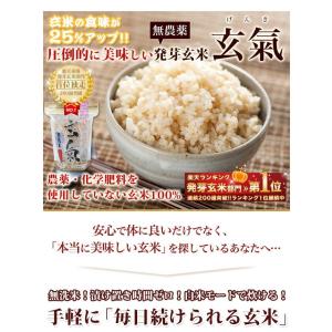 無洗米 玄米 玄氣1.5kg 無農薬 真空パッ...の詳細画像1