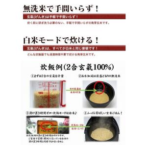 無洗米 玄米 玄氣1.5kg 無農薬 真空パッ...の詳細画像2