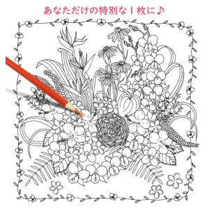 大人の塗り絵セット 色鉛筆24色付き 猫 新装...の詳細画像4