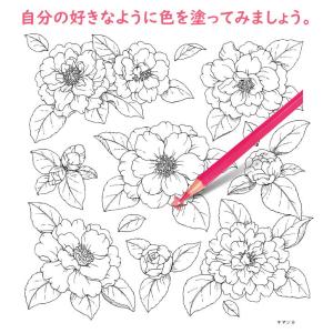 大人の塗り絵セット 色鉛筆24色付き 新装版 ...の詳細画像3