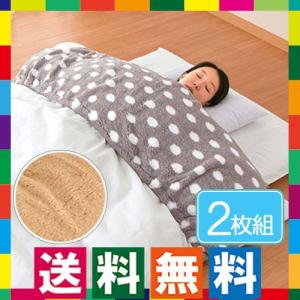 マイクロシープ衿カバー 2枚セット 掛け布団カバー 掛布団カバー