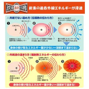 フジカ スマーティ F4-NX型 家庭用サウナ...の詳細画像2