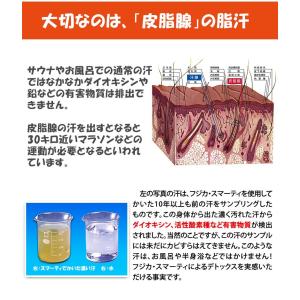 フジカ スマーティ F4-NX型 家庭用サウナ...の詳細画像3