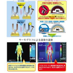 フジカ スマーティ F4-NX型 家庭用サウナ...の詳細画像5