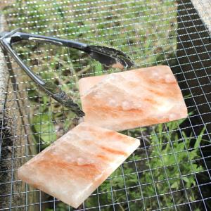 ヒマラヤ産岩塩プレート ソルトロースタープレート