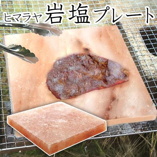 ヒマラヤ産岩塩プレート大判 18cm角型 ソルトロースタープレート 食用岩塩板 七輪 焼肉 天然塩 ...