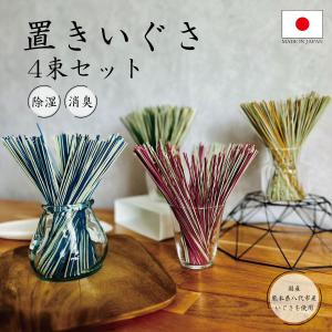 い草スティック いぐさ 置きいぐさ4束セット 消臭 消臭剤 芳香剤 部屋 アロマ 置きいぐさ おしゃれ ディフューザー