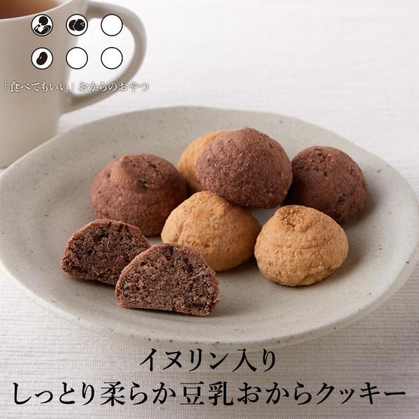 おからクッキー イヌリン入り ソフト豆乳おからクッキー 500g チョコ オレンジ 2種ミックス 食...