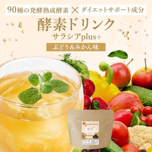 酵素ドリンク サラシア ダイエットドリンク 80g 植物酵素ドリンク 野草酵素 乳酸菌 ビタミンC ...
