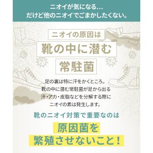 靴 消臭 nino 100g 靴消臭 靴 消臭...の詳細画像5