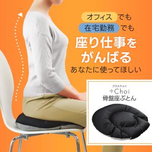 2個セット 骨盤座ぶとん プラスチョイ 腰痛 ...の詳細画像1
