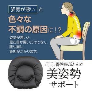 2個セット 骨盤座ぶとん プラスチョイ 腰痛 ...の詳細画像5