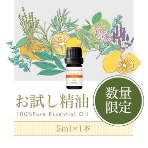〈お引越しキャンペーン〉アロマオイル 在庫限り...の詳細画像3
