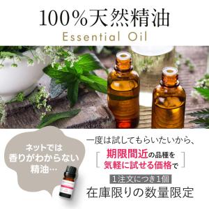 〈お引越しキャンペーン〉アロマオイル 在庫限り...の詳細画像2