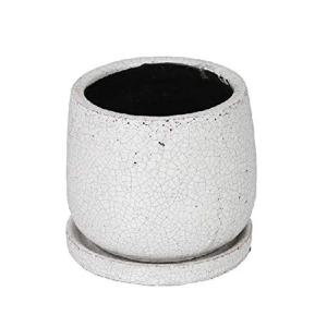 ダルトン(Dulton) 園芸用品 グレイズドポット ラウンド ホワイト Mサイズ 底穴あり GLAZED POT ROUND WHITE｜otc-store