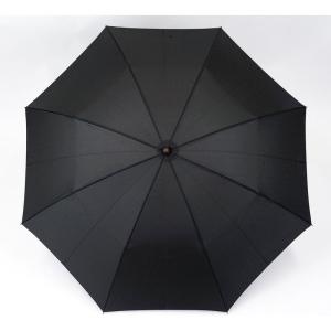 ディズニー メリーポピンズ 傘 アンブレラ パロット オウム ヘッド