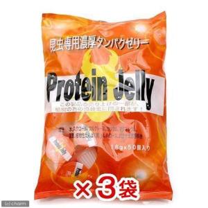 ヘラクレス モリシマイ オオカブト ♂125〜129mmペア（メス