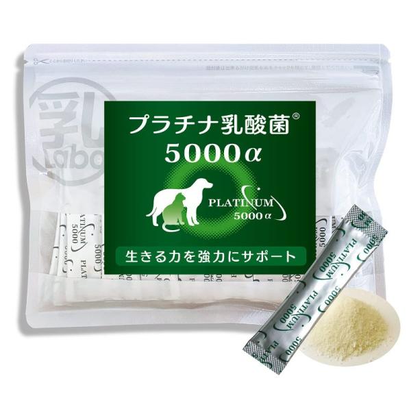 プラチナ乳酸菌 国産犬用 猫用 乳酸菌サプリ「プラチナ乳酸菌5000α」顆粒タイプ１袋スティック30...