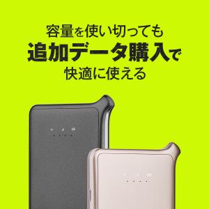 WiFi追加通信データ容量100GB(おてがる...の詳細画像1