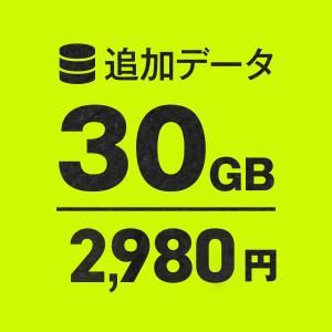 WiFi追加通信データ容量30GB（おてがるWi-Fi端末ご購入者様専用パッケージ）