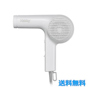 ノビー マイナスイオンヘアードライヤー NB2100 ホワイト 業務用 サロン専売品 ドライヤー テスコム Nobby