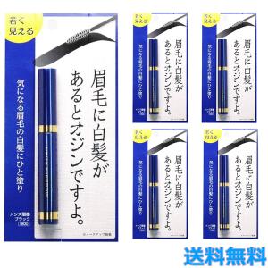 5本セット メンズ眉墨 ブラック アイブロウ 5g メンズコスメ 白髪隠し ブラック 眉毛 ビナ薬粧
