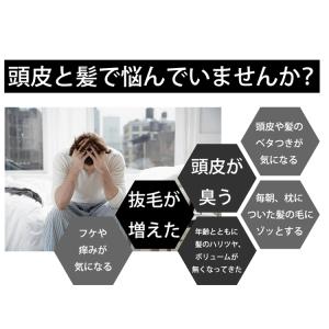 ディノメン 薬用スカルプケア リンスインシャン...の詳細画像1