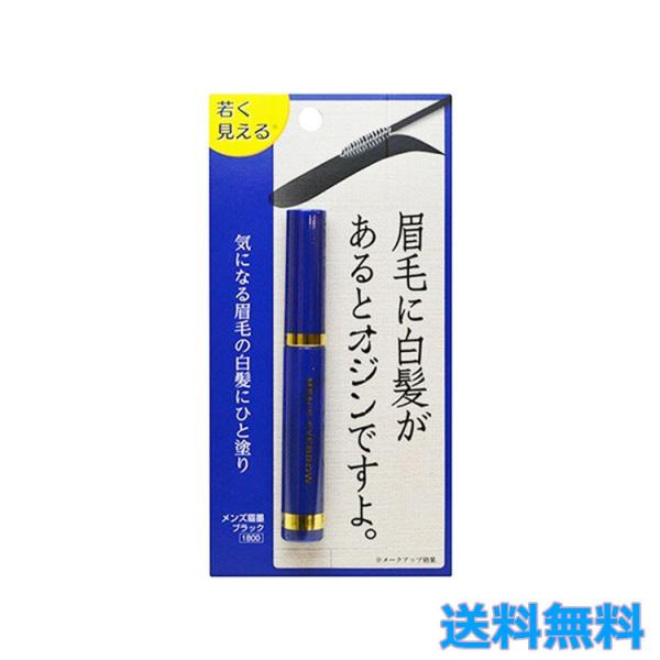 メンズ眉墨 ブラック アイブロウ 5g メンズコスメ 白髪隠し ブラック 眉毛 ビナ薬粧