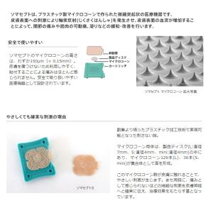 東洋レヂン ソマニクス ソマセプト L 100...の詳細画像1