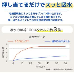 テイジン ミクロピュア 吸水ヘアターバン グレ...の詳細画像1