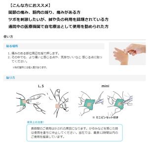 2個セット 東洋レヂン ソマニクス ソマセプト...の詳細画像1