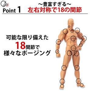 デッサン 人形 モデル人形 デッサンドール フ...の詳細画像1