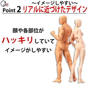 デッサン 人形 モデル人形 デッサンドール フ...の詳細画像2