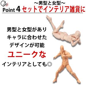 デッサン 人形 モデル人形 デッサンドール フ...の詳細画像4