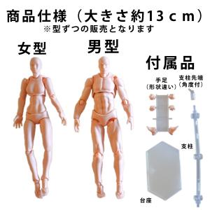 デッサン 人形 モデル人形 デッサンドール フ...の詳細画像5