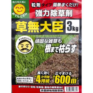 除草剤 草無大臣 そうむだいじん(ブロマシル粒...の詳細画像1