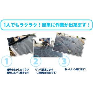 4本セット 防草シート 巾0.75m×長さ10mの詳細画像4