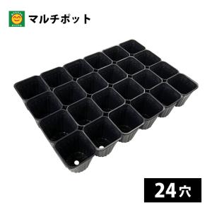 綾*鷹様 2025実生苗セットc 4センチポット マルチポット 40穴 7.5cm 縦4列×横5列 育苗ポット／連結ポット