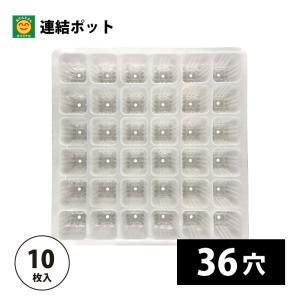 プラグトレー 105穴 1枚 プラグトレイ／105S : 農家のお店おてんとさん