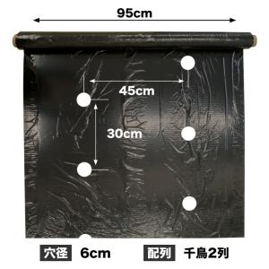 穴あき黒マルチ 9230 厚0.02mm×幅9...の詳細画像1