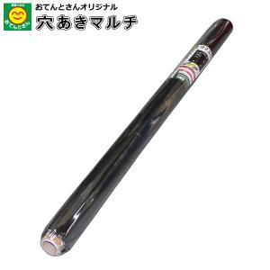 国産 穴あきマルチ 黒マルチ 有孔マルチ 幅95cm 長さ200m 株間300mm 孔