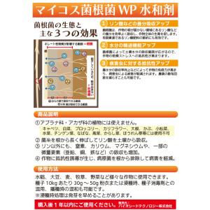 マイコス菌根菌 WP水和剤 500g【メ ール...の詳細画像1