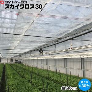 ダイヤテックス ハウス内専用保温・遮熱カーテン ...の商品画像