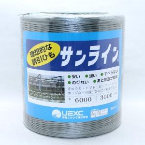 サンライン　#6000　3000m巻