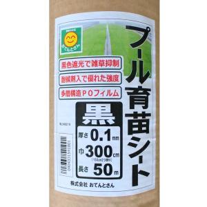 プール育苗シート 厚み0.1mm×幅300cm...の詳細画像1