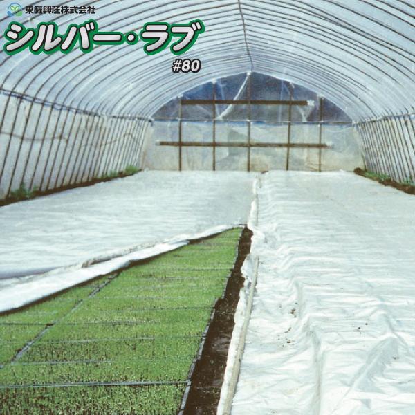 東罐興産　水稲育苗用　シルバーラブ＃80　幅230cm×長さ50m　1枚　たたみ品　平置き(無加温)...